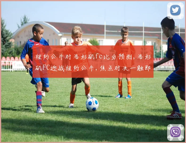 纽约公牛对洛杉矶fc比分预测,洛杉矶FC迎战纽约公牛,焦点对决一触即发,悬念重重