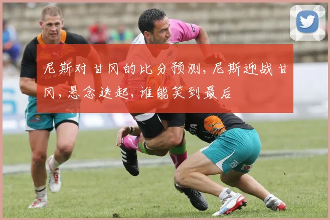 尼斯对甘冈的比分预测,尼斯迎战甘冈,悬念迭起,谁能笑到最后