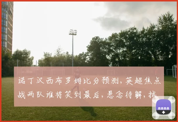 诺丁汉西布罗姆比分预测,英超焦点战两队谁将笑到最后,悬念待解,拭目以待。